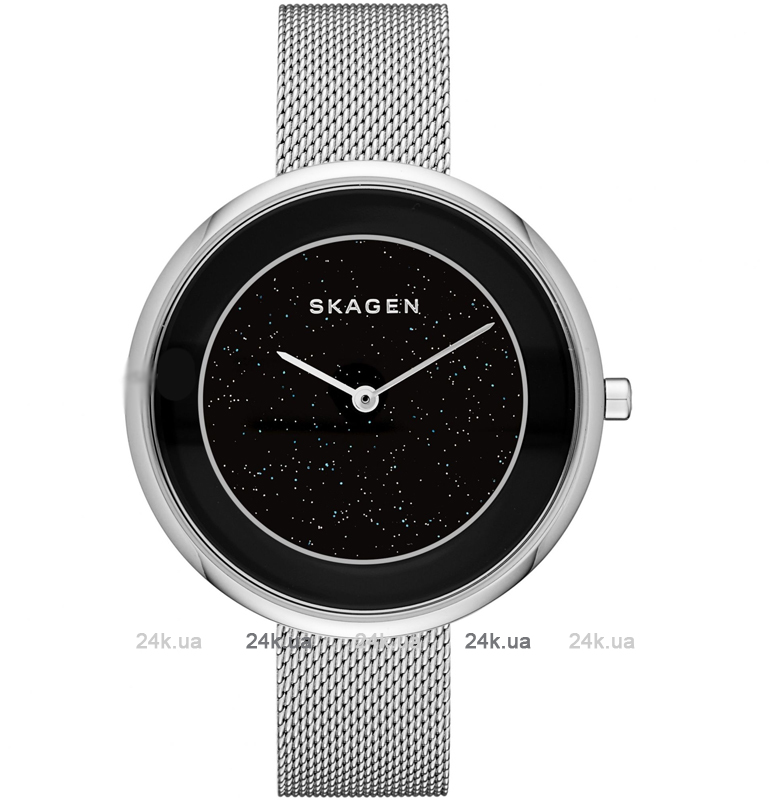 Наручные часы Skagen Skg 1070 SKW1070